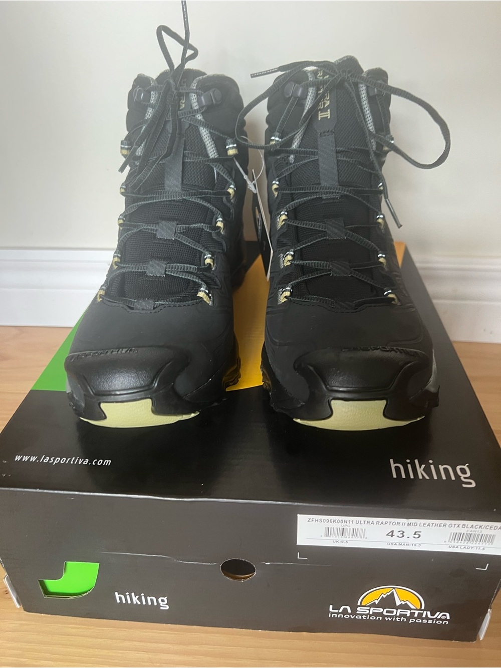 Ultra Raptor II Mid Leather GTX Hiking Boots - Men's, Size 10.5